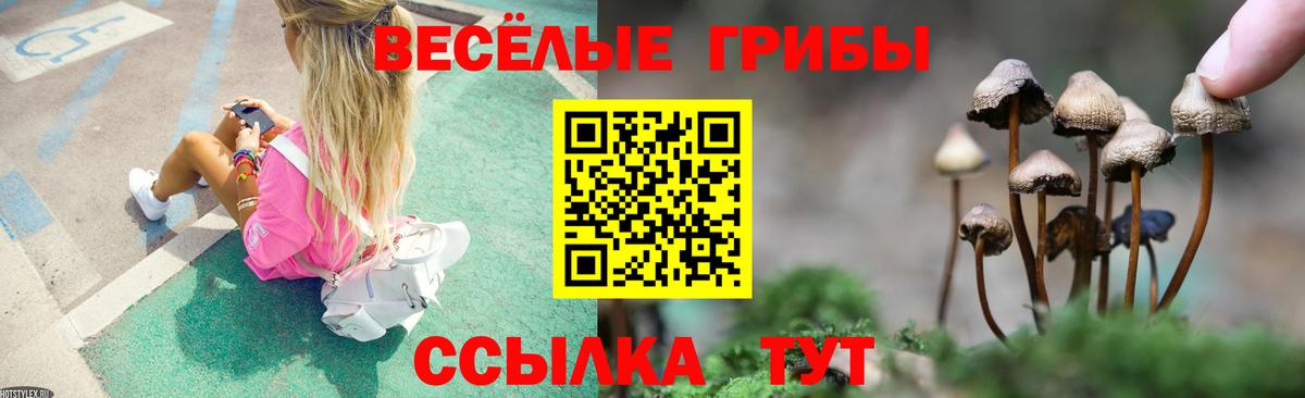 Псилоцибиновые грибы Psilocybe Лянтор